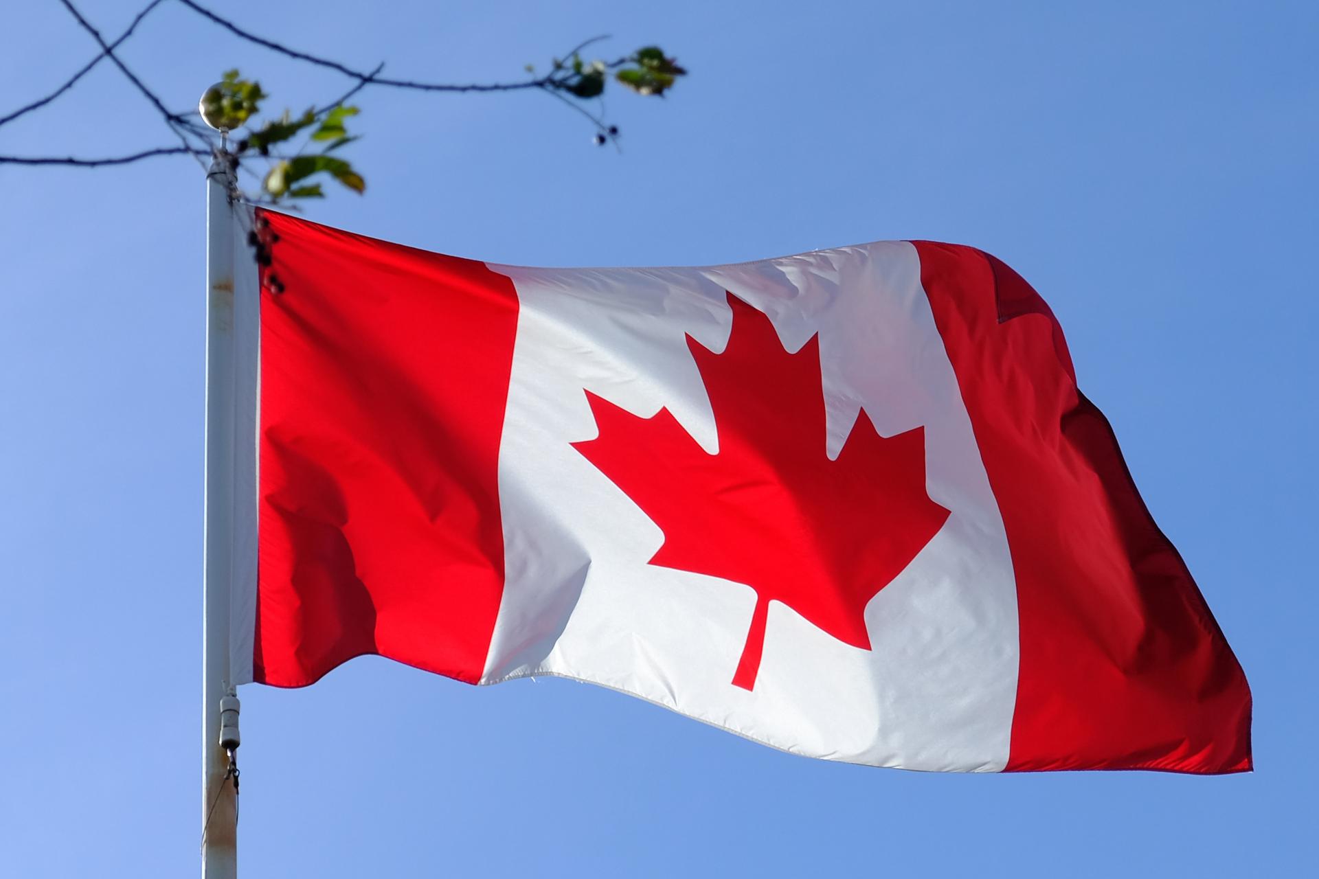 Le drapeau canadien avec comme emblème la feuille d'érable